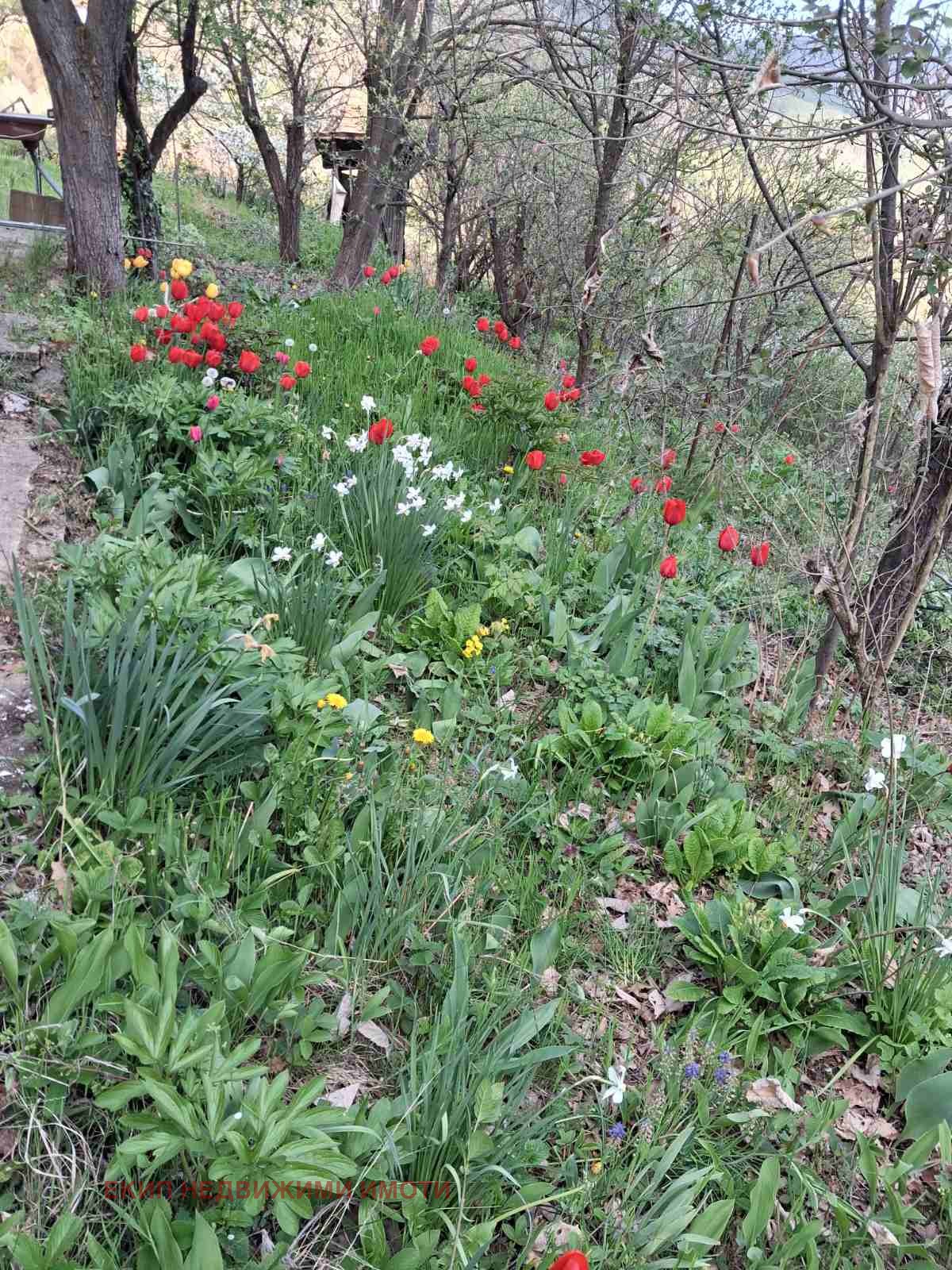 ������� ���� | Imot.bg � ����������� 7