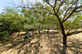 ������� ������ | Imot.bg � ����� ������ 5