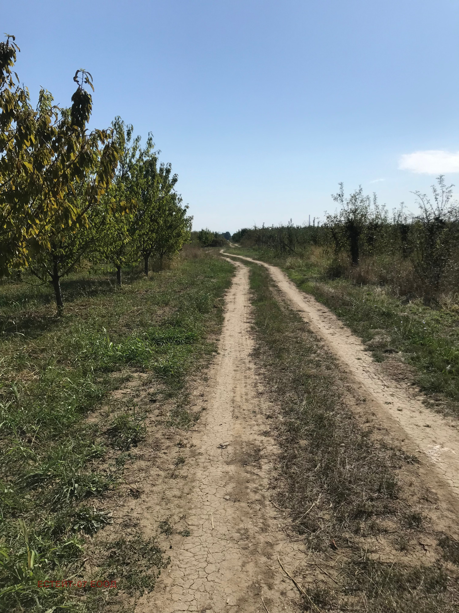 Продава ПАРЦЕЛ, с. Брестник, област Пловдив, снимка 2 - Парцели - 42266841