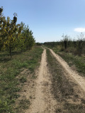 Продава ПАРЦЕЛ, с. Брестник, област Пловдив, снимка 2