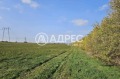 Продава ПАРЦЕЛ, с. Езерово, област Варна, снимка 7