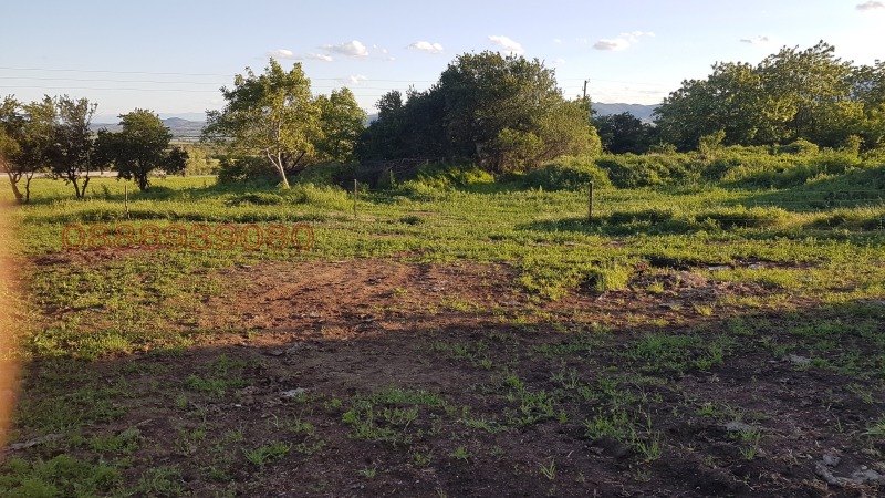 Продава ПРОМ. ПОМЕЩЕНИЕ, гр. Карлово, област Пловдив, снимка 5 - Производствени сгради - 52820472