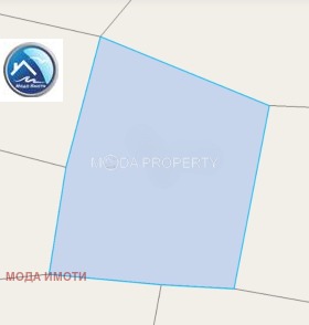 ����� ������� ������,��. ����������, ������ ������