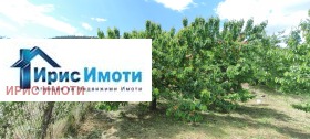 ������� ������ | Imot.bg � ����� ������ 7