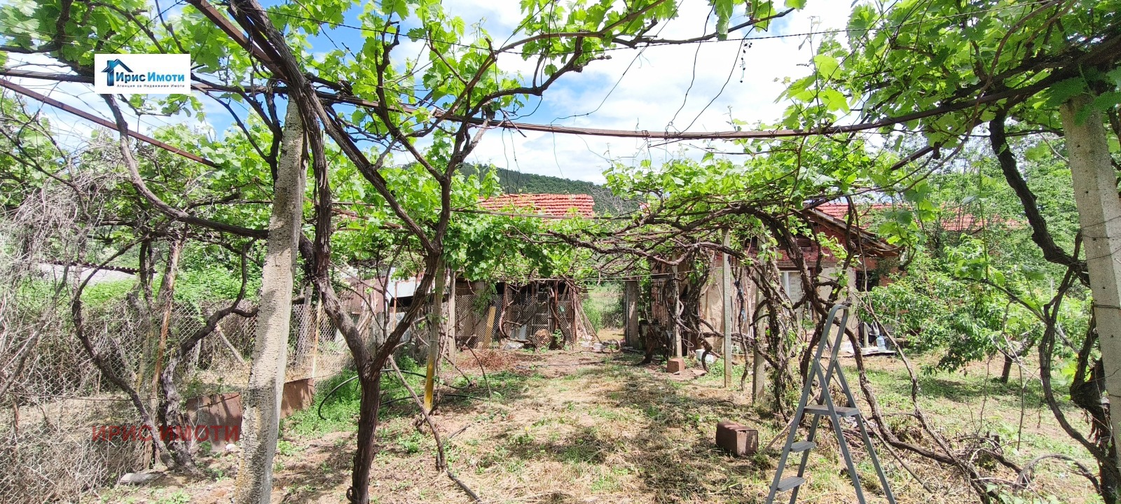 Продава ПАРЦЕЛ, с. Драговищица, област Кюстендил, снимка 5 - Парцели - 54690572