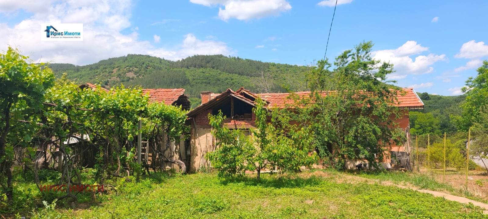 Продава ПАРЦЕЛ, с. Драговищица, област Кюстендил, снимка 3 - Парцели - 54690572