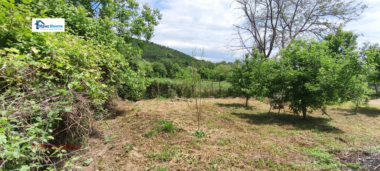 Продава ПАРЦЕЛ, с. Драговищица, област Кюстендил, снимка 6 - Парцели - 54690572