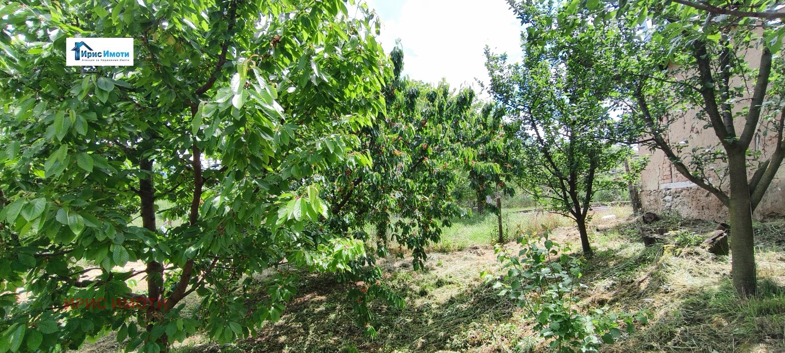 Продава ПАРЦЕЛ, с. Драговищица, област Кюстендил, снимка 8 - Парцели - 54690572