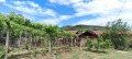 Продава ПАРЦЕЛ, с. Драговищица, област Кюстендил, снимка 4