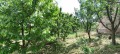 Продава ПАРЦЕЛ, с. Драговищица, област Кюстендил, снимка 8