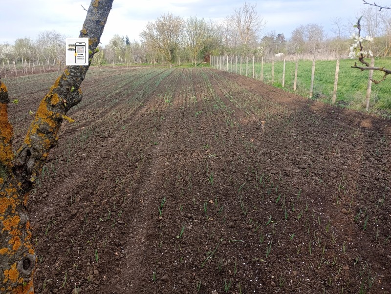 ������� ������ | Imot.bg � ����������� 1