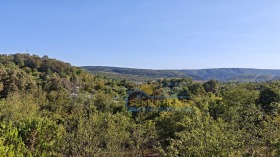 ������� ���� | Imot.bg � ����� ������ 12