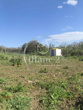 En venta Trama