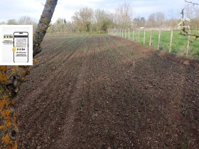 ����� ������� ������,�. ���������, ������ ������