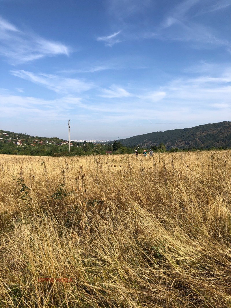 Продава ПАРЦЕЛ, гр. София, с. Кокаляне, снимка 3 - Парцели - 52484397