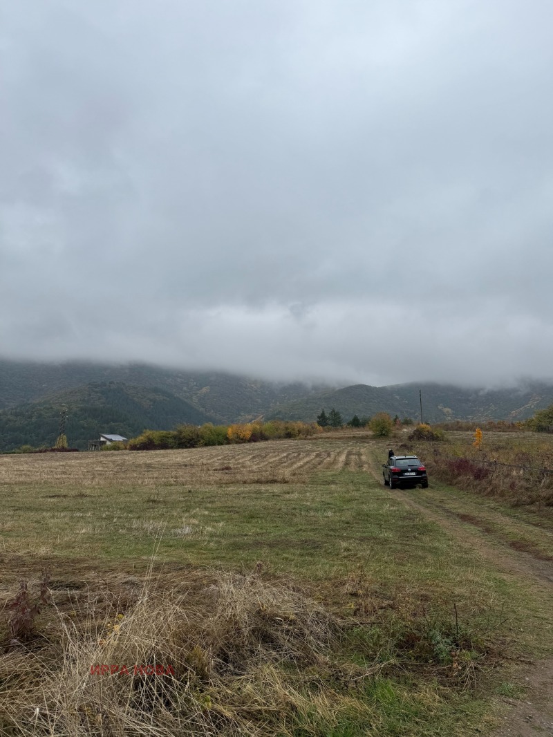 Продава ПАРЦЕЛ, гр. София, с. Кокаляне, снимка 4 - Парцели - 52484397