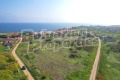 Продава ПАРЦЕЛ, област Добрич, с. Тюленово • 62000 € • 77071956 — Holmes.bg
