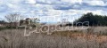 Продава ПАРЦЕЛ, област Добрич, с. Тюленово • 62000 € • 77071956 — Holmes.bg