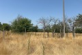 Продава ПАРЦЕЛ, област Варна, с. Казашка река • 15000 € / 29337.45 лв. • 23941292 6