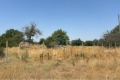 Продава ПАРЦЕЛ, област Варна, с. Казашка река • 15000 € / 29337.45 лв. • 23941292 7