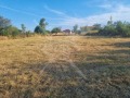 Продава ПАРЦЕЛ, област Пловдив, с. Богданица • 15500 € • 61600112 — Holmes.bg