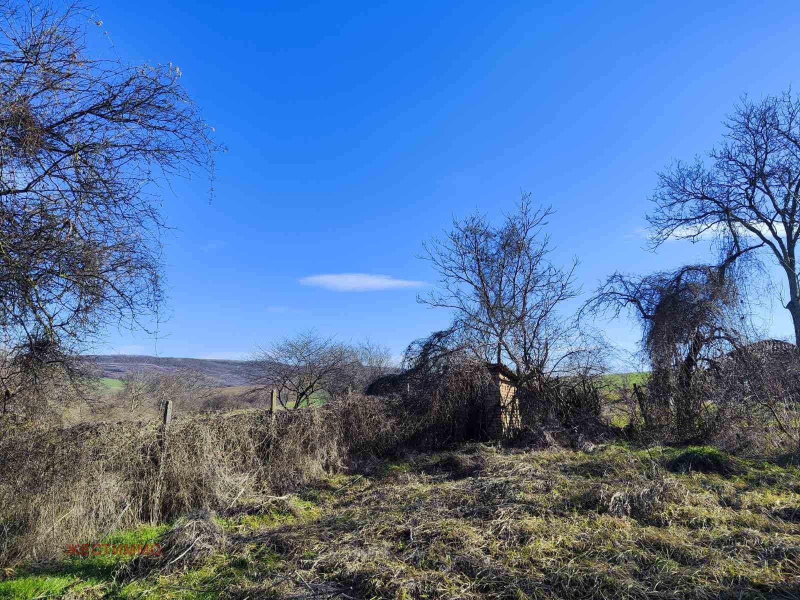 ������� ���� | Imot.bg � ����������� 8