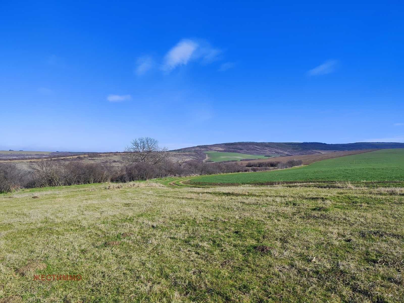 ������� ���� | Imot.bg � ����������� 5