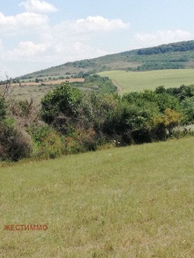 ������� ���� | Imot.bg � ����� ������ 10