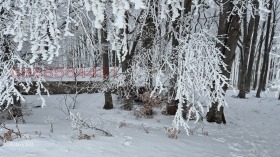 ������� ���� | Imot.bg � ����� ������ 5