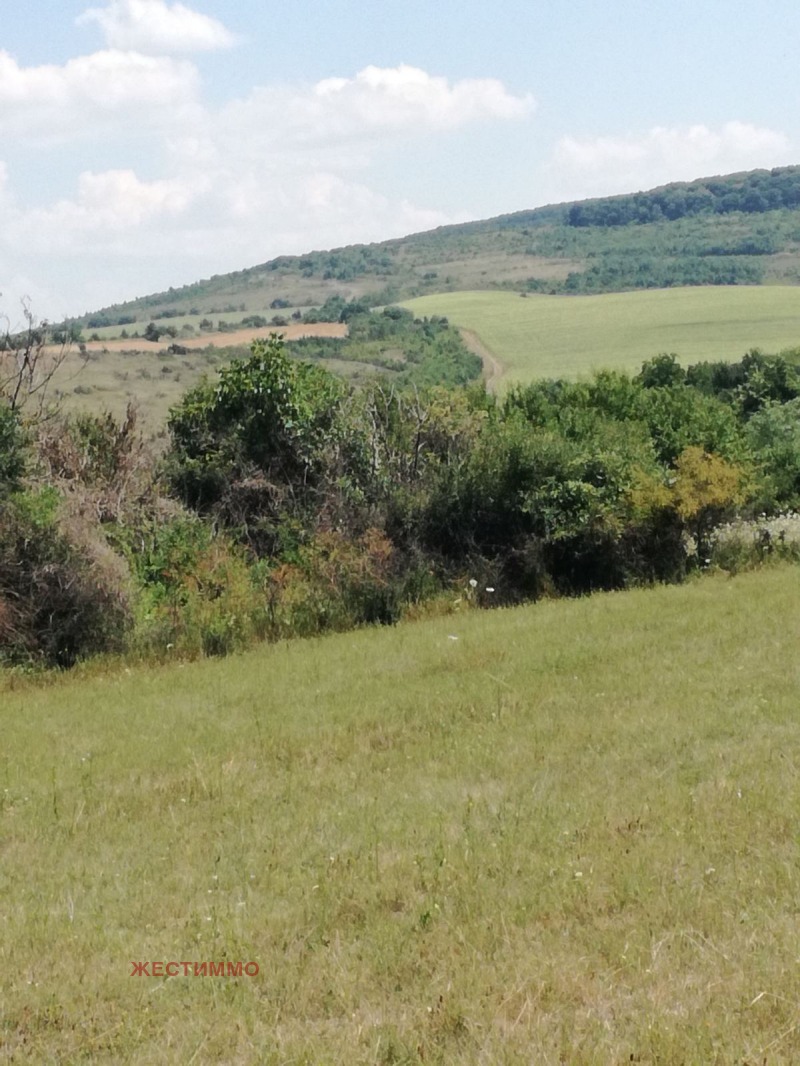 Продава КЪЩА, с. Тръстика, област Търговище, снимка 9 - Къщи - 53046578