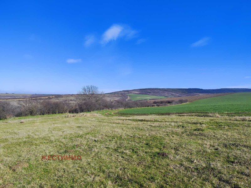 Продава КЪЩА, с. Тръстика, област Търговище, снимка 6 - Къщи - 53046578