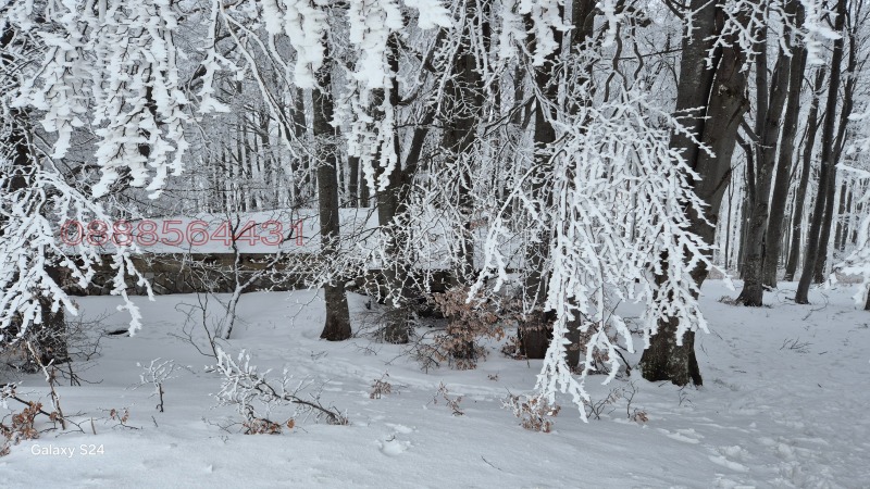 Продава КЪЩА, гр. Крън, област Стара Загора, снимка 4 - Къщи - 52844650