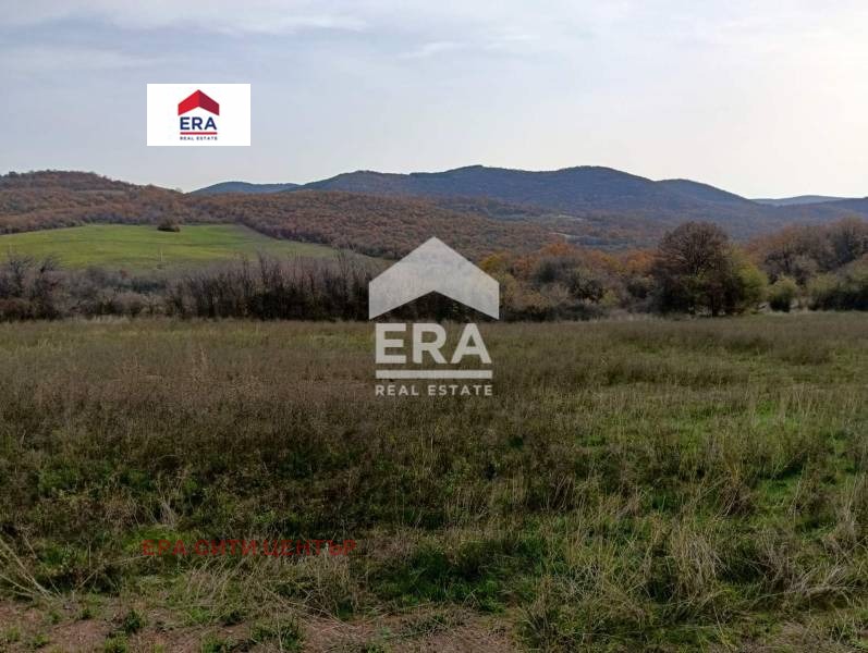 Продава ПАРЦЕЛ, с. Борилово, област Стара Загора, снимка 5 - Парцели - 52452457