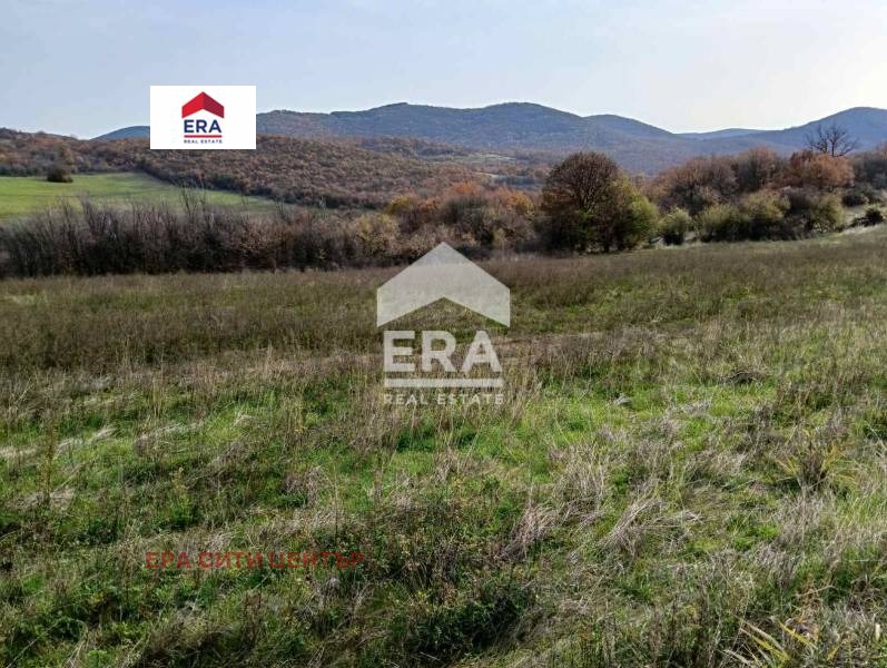 Продава ПАРЦЕЛ, с. Борилово, област Стара Загора, снимка 2 - Парцели - 52452457