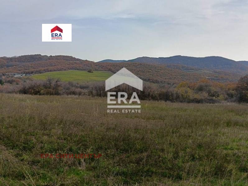 Продава ПАРЦЕЛ, с. Борилово, област Стара Загора, снимка 3 - Парцели - 52452457