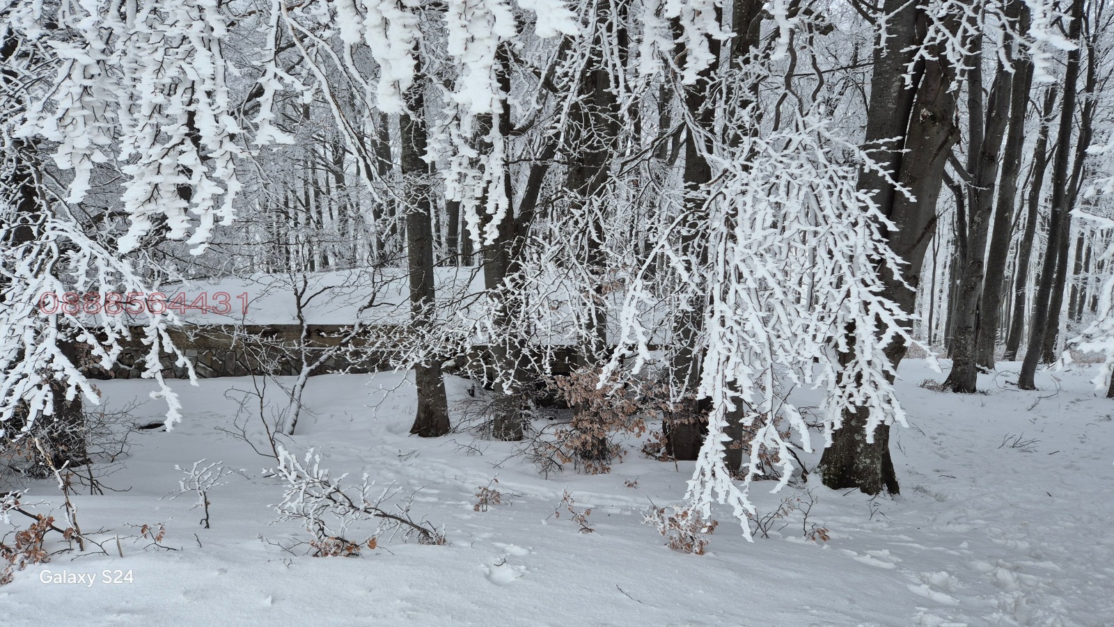 Продава КЪЩА, гр. Крън, област Стара Загора, снимка 5 - Къщи - 53641297