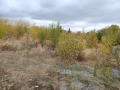 Продава  Парцел град София , гр. Нови Искър , 1611 кв.м | 72299211 - изображение [2]
