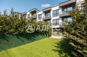 ������ ������� ����