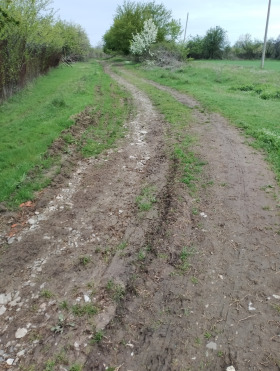 ������� ���������� ���� | Imot.bg � ����� ������ 9