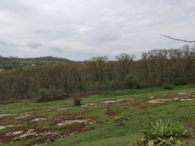 ����� ������� ���������� ����,�. ������, ������ �����