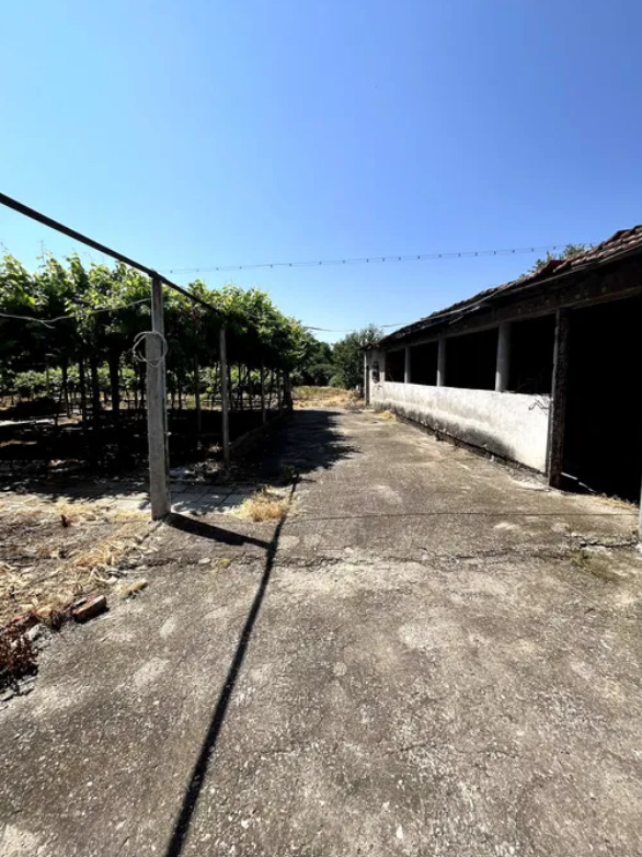 Til salgs  Hus region Plovdiv , Saedinenie , 195 kvm | 28134909