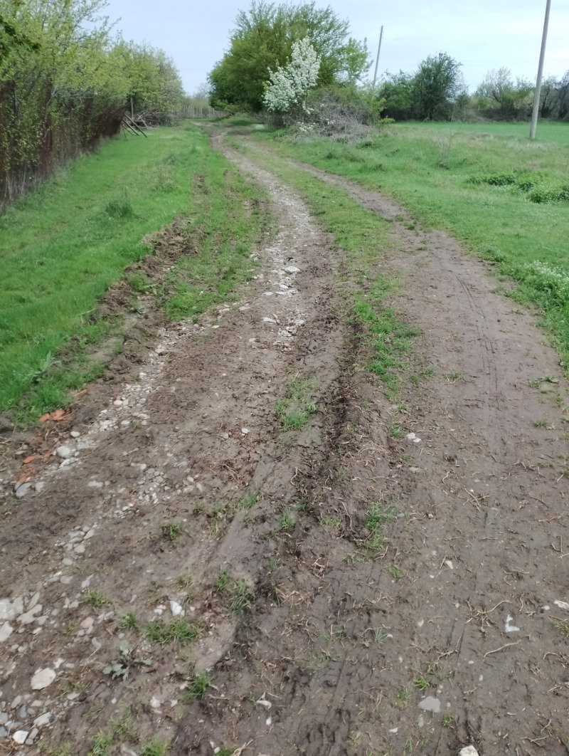 Продава ЗЕМЕДЕЛСКА ЗЕМЯ, с. Солник, област Варна, снимка 9 - Земеделска земя - 52800884