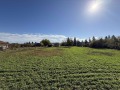 Продава КЪЩА, гр. Лом, област Монтана, снимка 9