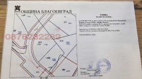 ����� ������� ������,���� �����������, �����