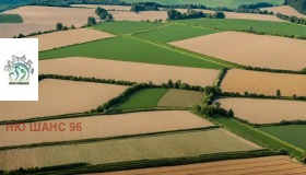 Land Bozwelijsko, region Varna 1