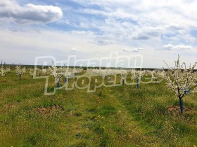 ������� �������/����� | Imot.bg � ����� ������ 15