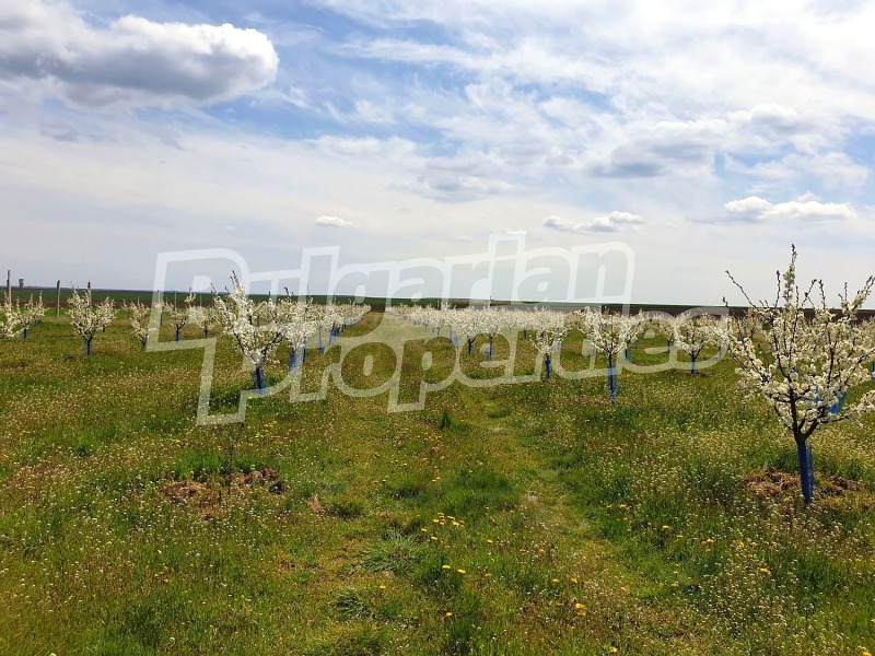 Продава БИЗНЕС ИМОТ, с. Стефан Караджа, област Варна, снимка 15 - Други - 52987610