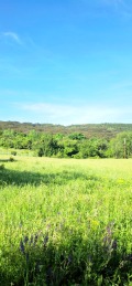 Продава ПАРЦЕЛ, с. Боснек, област Перник, снимка 5