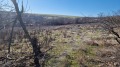 Продава ПАРЦЕЛ, област Велико Търново, гр. Полски Тръмбеш • 12000 лв. • 38736065 — Holmes.bg