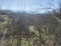 Продава ПАРЦЕЛ, област Велико Търново, с. Къпиново • 22000 € • 69693977 — Holmes.bg